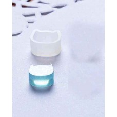 Silicon mould